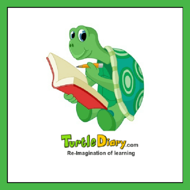 Turtle Diary