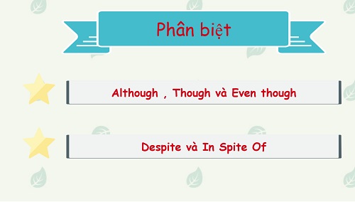 Cách phân biệt despite và in spite of trong tiếng Anh